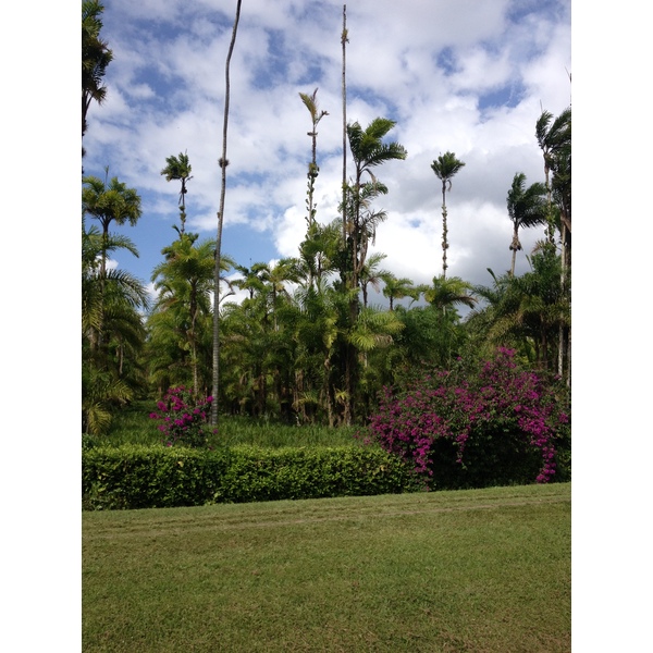 Picture Costa Rica Turrialba 2015-03 60 - Recreation Turrialba