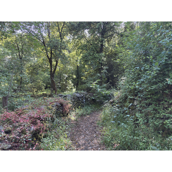 Picture France Corsica Corte 2025-06 20 - Journey Corte