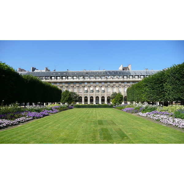 Picture France Paris Palais Royal 2007-08 11 - Tours Palais Royal