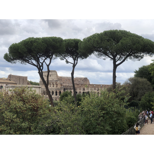 Picture Italy Rome Roman Forum 2024-09 81 - Around Roman Forum