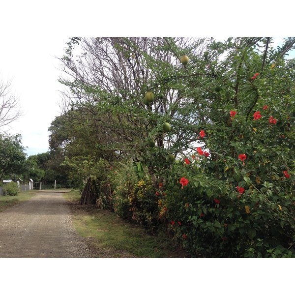 Picture Costa Rica Montezuma 2015-03 294 - History Montezuma