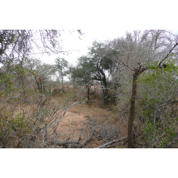 Picture South Africa Kruger National Park 2008-09 143 - History Kruger National Park