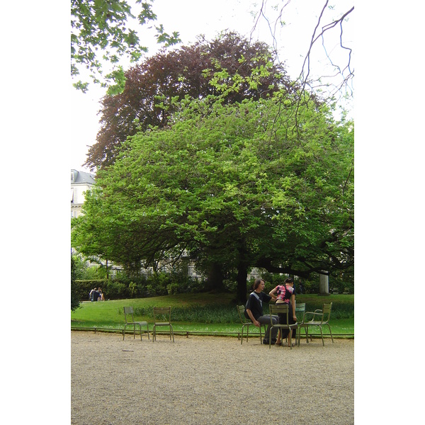 Picture France Paris Luxembourg Garden 2007-04 74 - Discovery Luxembourg Garden