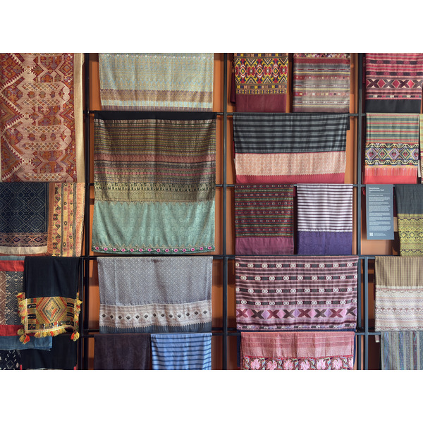 Picture Thailand Chiang Mai Kalm 2026-01 19 - Discovery Kalm