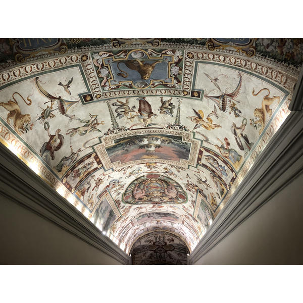 Picture Italy Rome Vatican Museum 2024-09 287 - Tour Vatican Museum
