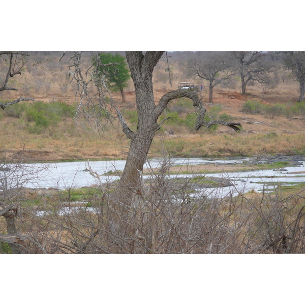 Picture South Africa Kruger National Park Crocodile River 2008-09 10 - Discovery Crocodile River