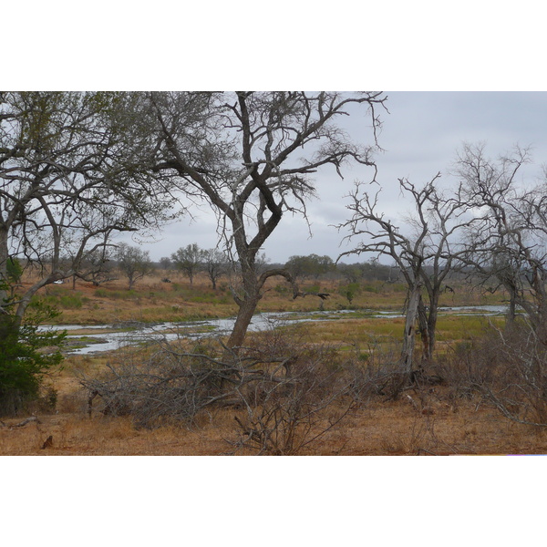 Picture South Africa Kruger National Park Crocodile River 2008-09 3 - Tours Crocodile River