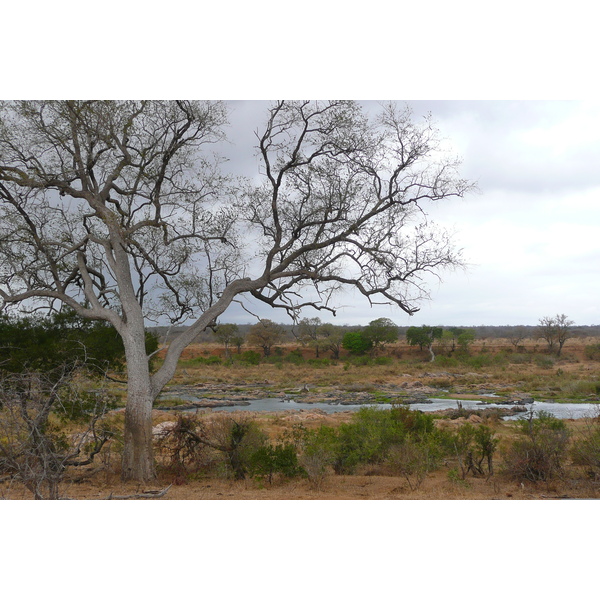 Picture South Africa Kruger National Park Crocodile River 2008-09 4 - Journey Crocodile River