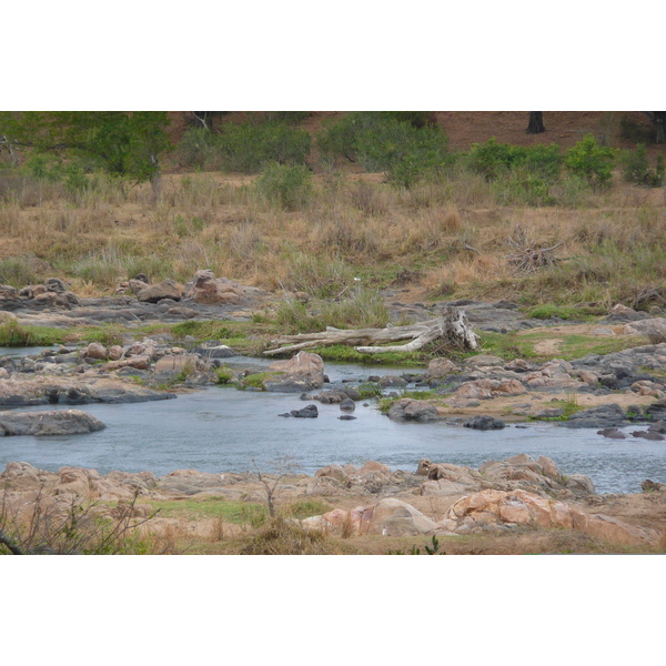 Picture South Africa Kruger National Park Crocodile River 2008-09 23 - History Crocodile River