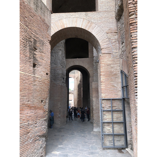 Picture Italy Rome Roman Forum 2024-09 125 - Journey Roman Forum