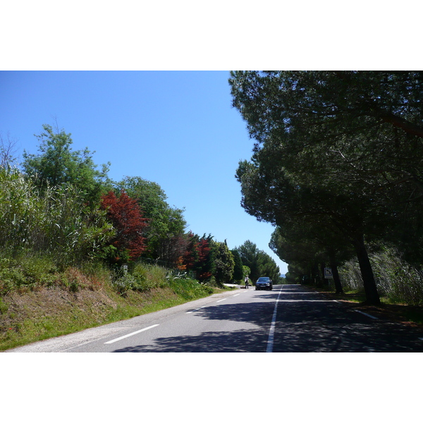 Picture France French Riviera Hyeres peninsula 2008-05 13 - Journey Hyeres peninsula