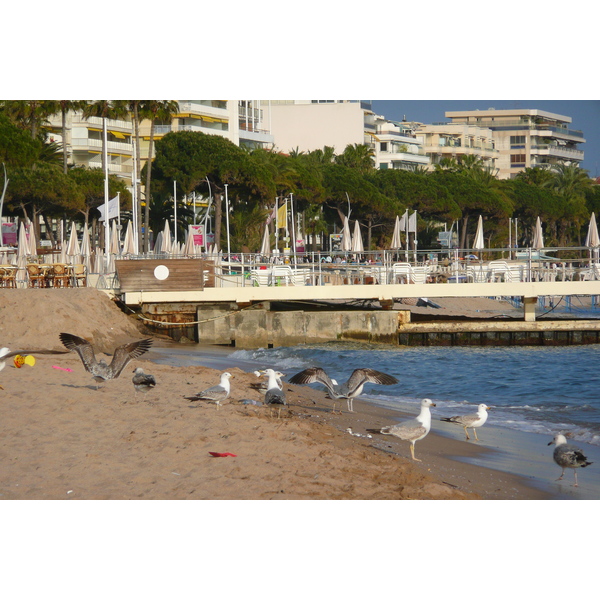 Picture France Cannes Beach 2008-04 47 - Center Beach