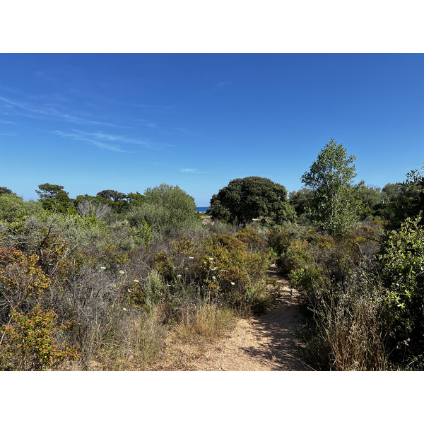 Picture France Corsica Ovu Santu Beach⁩ 2024-05 7 - Around Ovu Santu Beach⁩