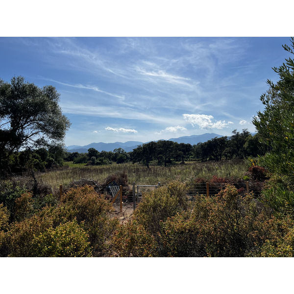Picture France Corsica Ovu Santu Beach⁩ 2024-05 9 - Around Ovu Santu Beach⁩
