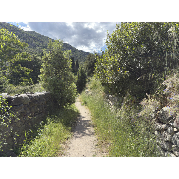 Picture France Corsica Corte 2025-06 15 - History Corte
