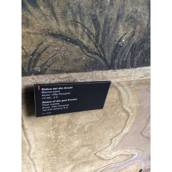 Picture Italy Rome Vatican Museum 2024-09 269 - Tours Vatican Museum