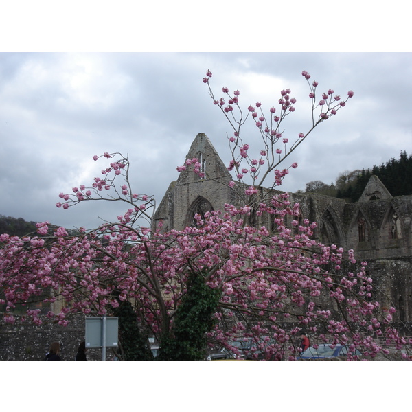 Picture United Kingdom Tintern 2006-05 25 - Journey Tintern