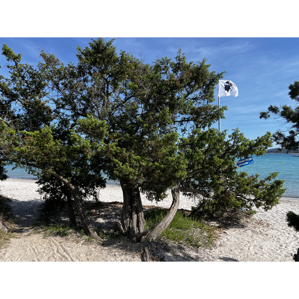 Picture France Corsica San Cyprien Bay 2024-05 9 - Around San Cyprien Bay