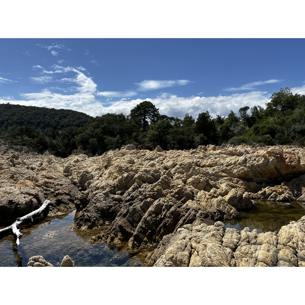 Picture France Corsica Canella Beach 2024-05 9 - Journey Canella Beach