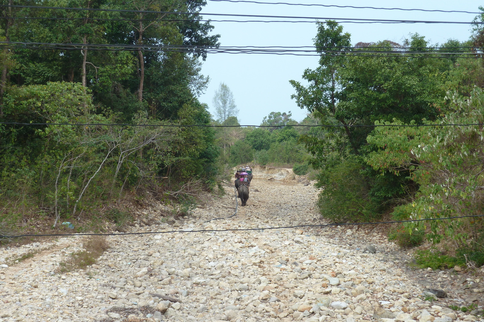 Picture Thailand Ko Chang Island road 2011-02 50 - Discover Island road