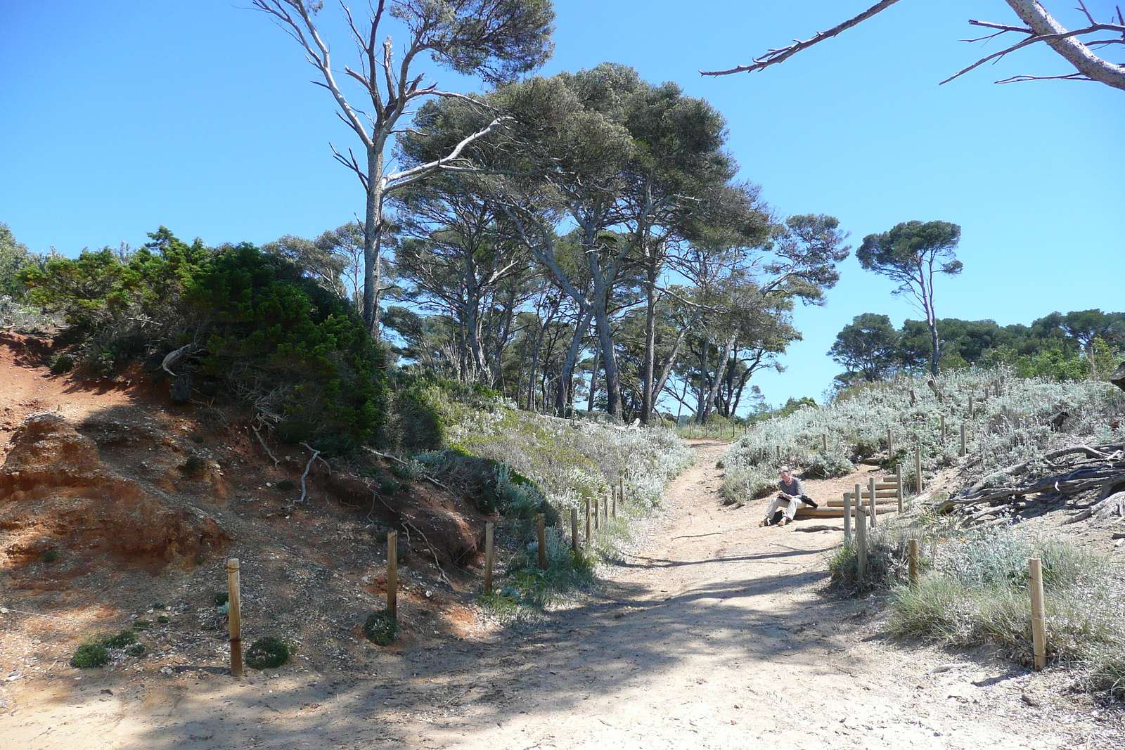 Picture France Porquerolles Island Courtade beach 2008-05 5 - Trail Courtade beach