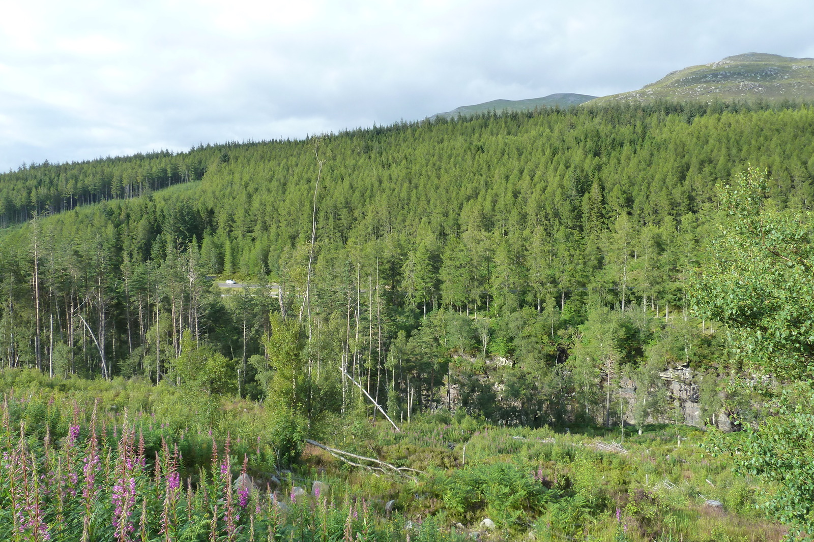 Picture United Kingdom Wester Ross 2011-07 36 - Trail Wester Ross