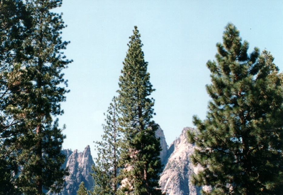 Picture United States Yosemite National Park 1992-08 4 - Road Map Yosemite National Park