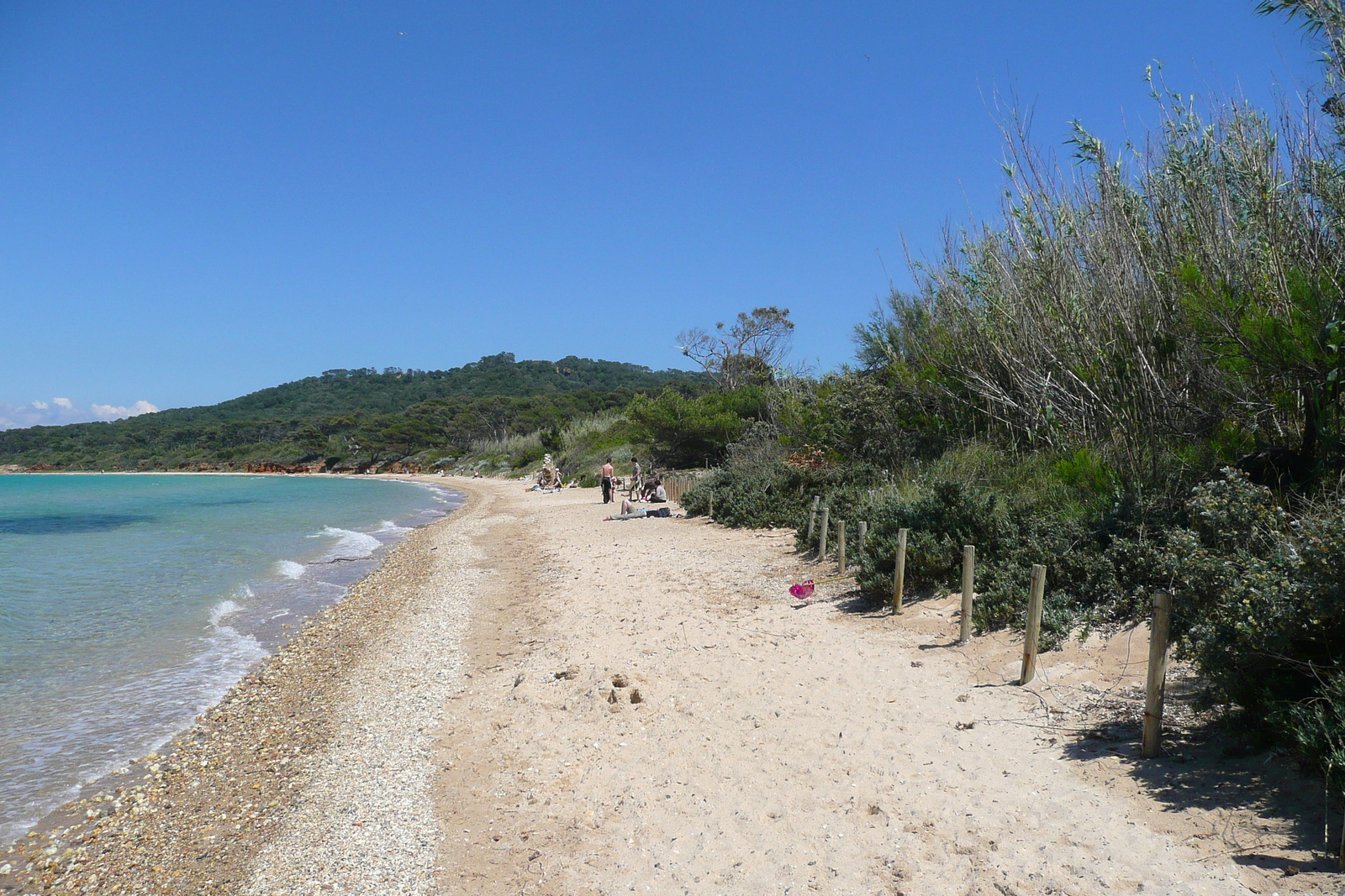 Picture France Porquerolles Island Courtade beach 2008-05 8 - Visit Courtade beach