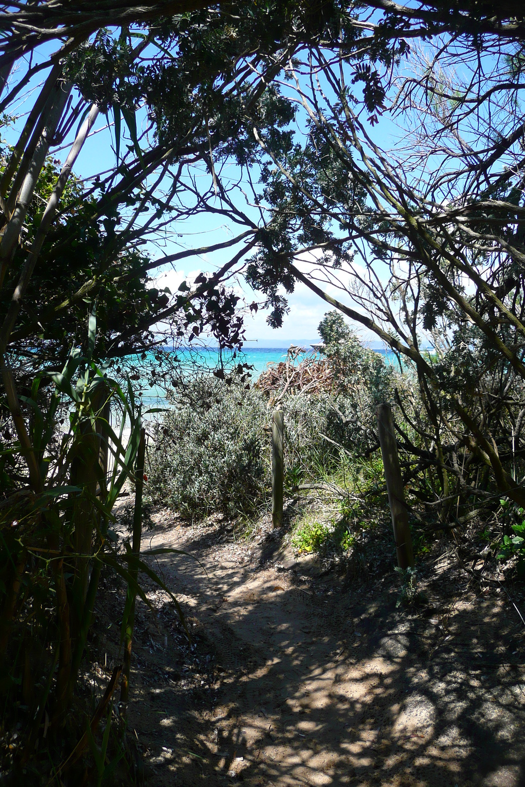 Picture France Porquerolles Island Courtade beach 2008-05 14 - Road Map Courtade beach