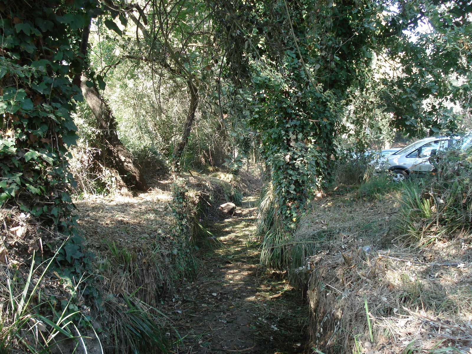 Picture France Villeneuve Loubet Parc de Vaugrenier 2006-09 7 - Travel Parc de Vaugrenier
