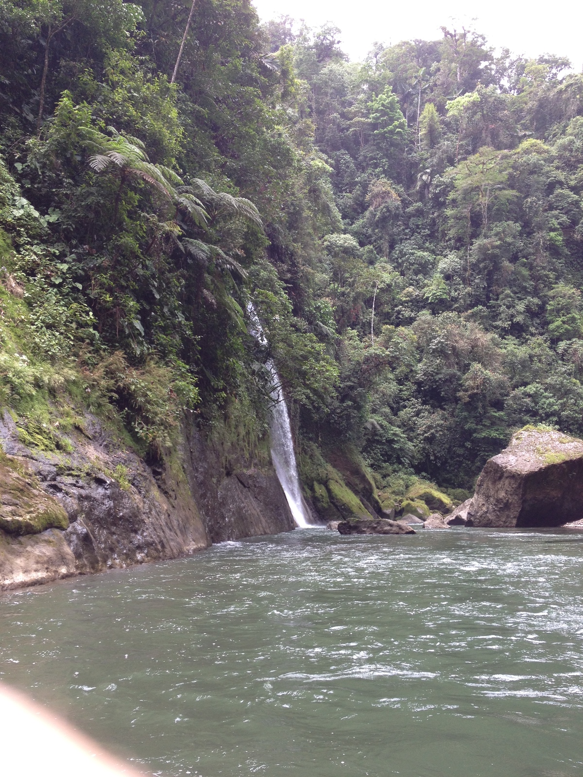Picture Costa Rica Pacuare River 2015-03 97 - Trips Pacuare River