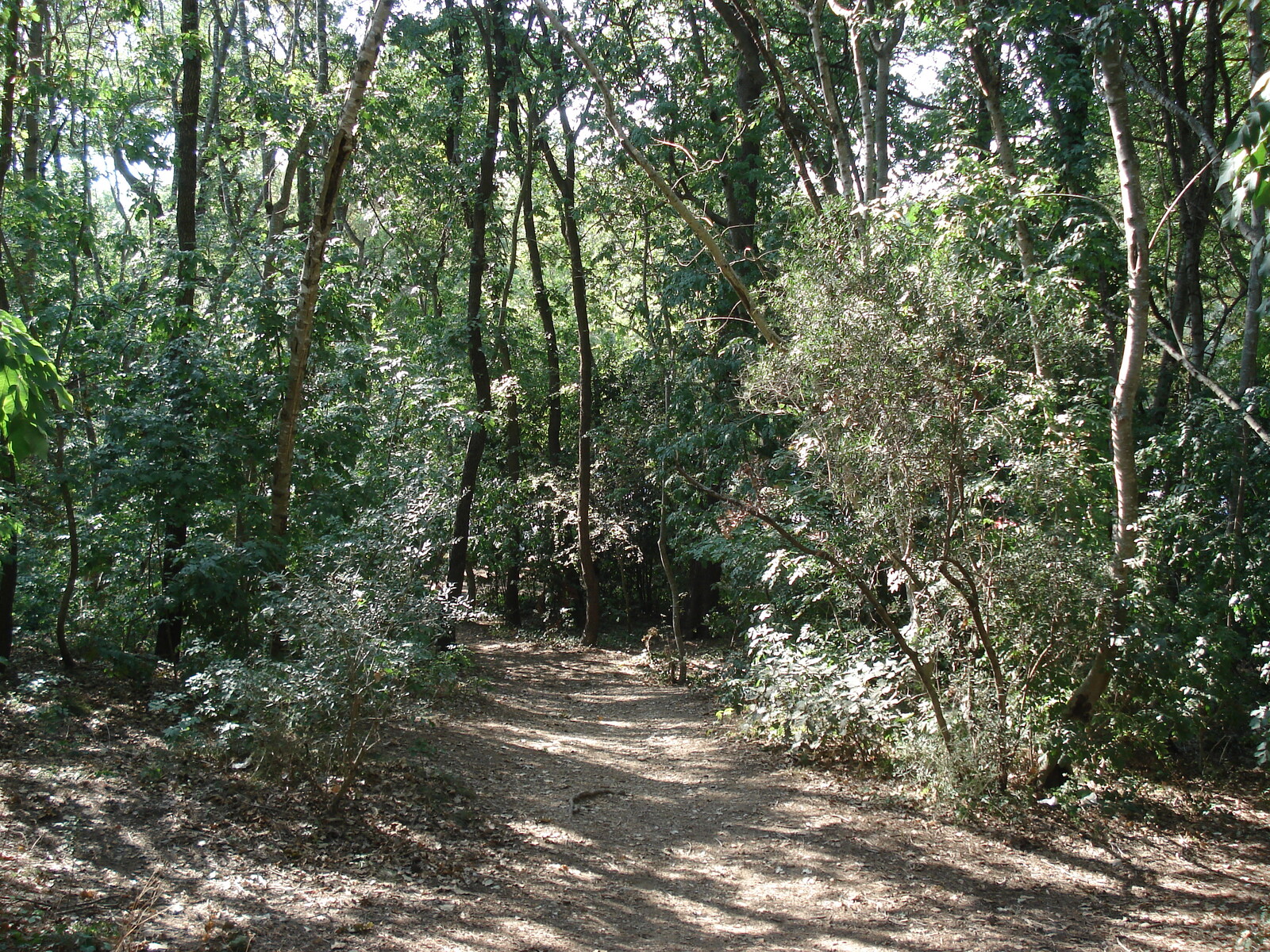 Picture France Villeneuve Loubet Parc de Vaugrenier 2006-09 19 - Road Map Parc de Vaugrenier