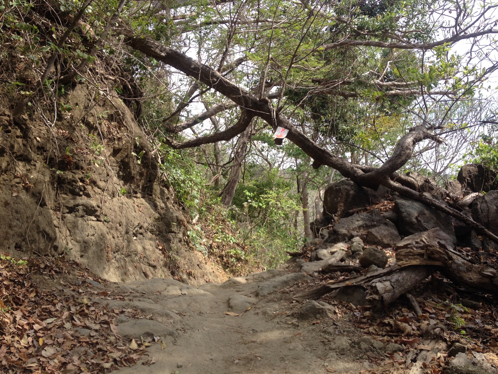 Shopping Mall Montezuma - Picture Costa Rica Montezuma 2015-03 308 Picture Costa Rica Montezuma 2015-03 308 - Shopping Mall Montezuma
