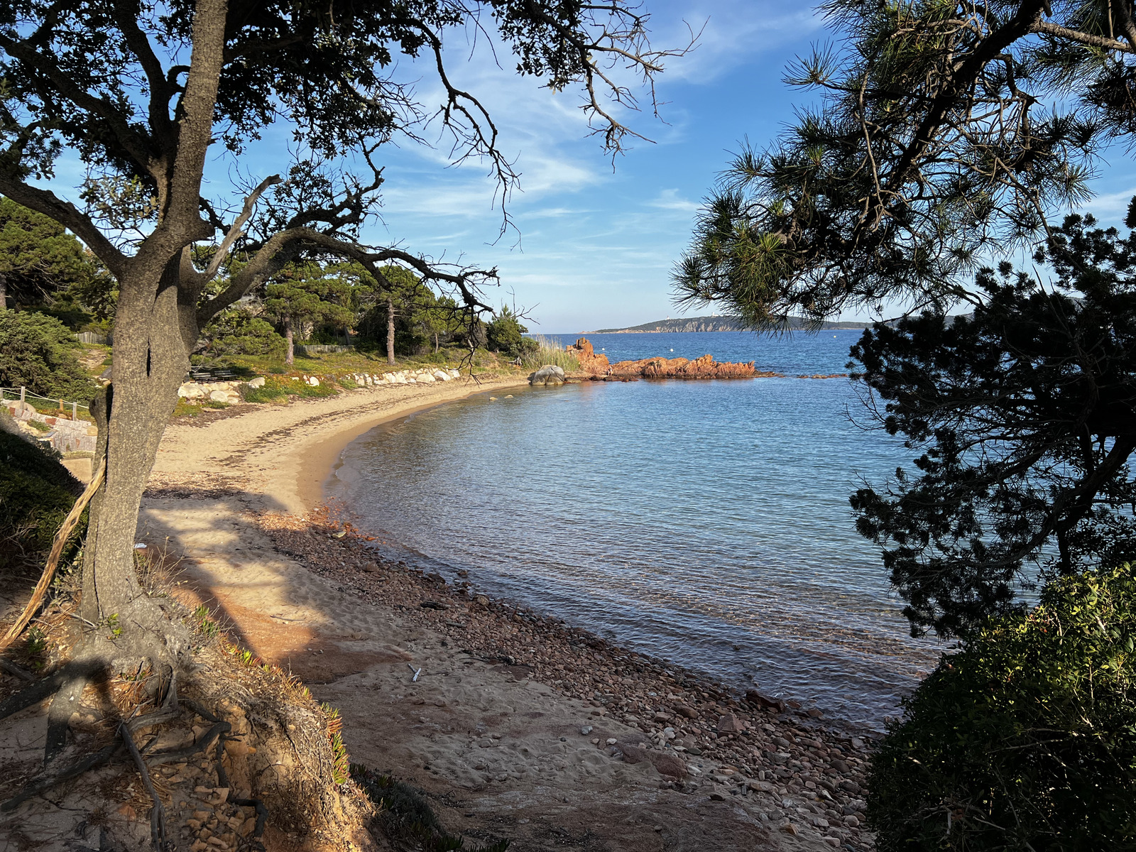 Picture France Corsica ⁨Cala Rossa⁩ 2024-05 8 - Pictures ⁨Cala Rossa⁩