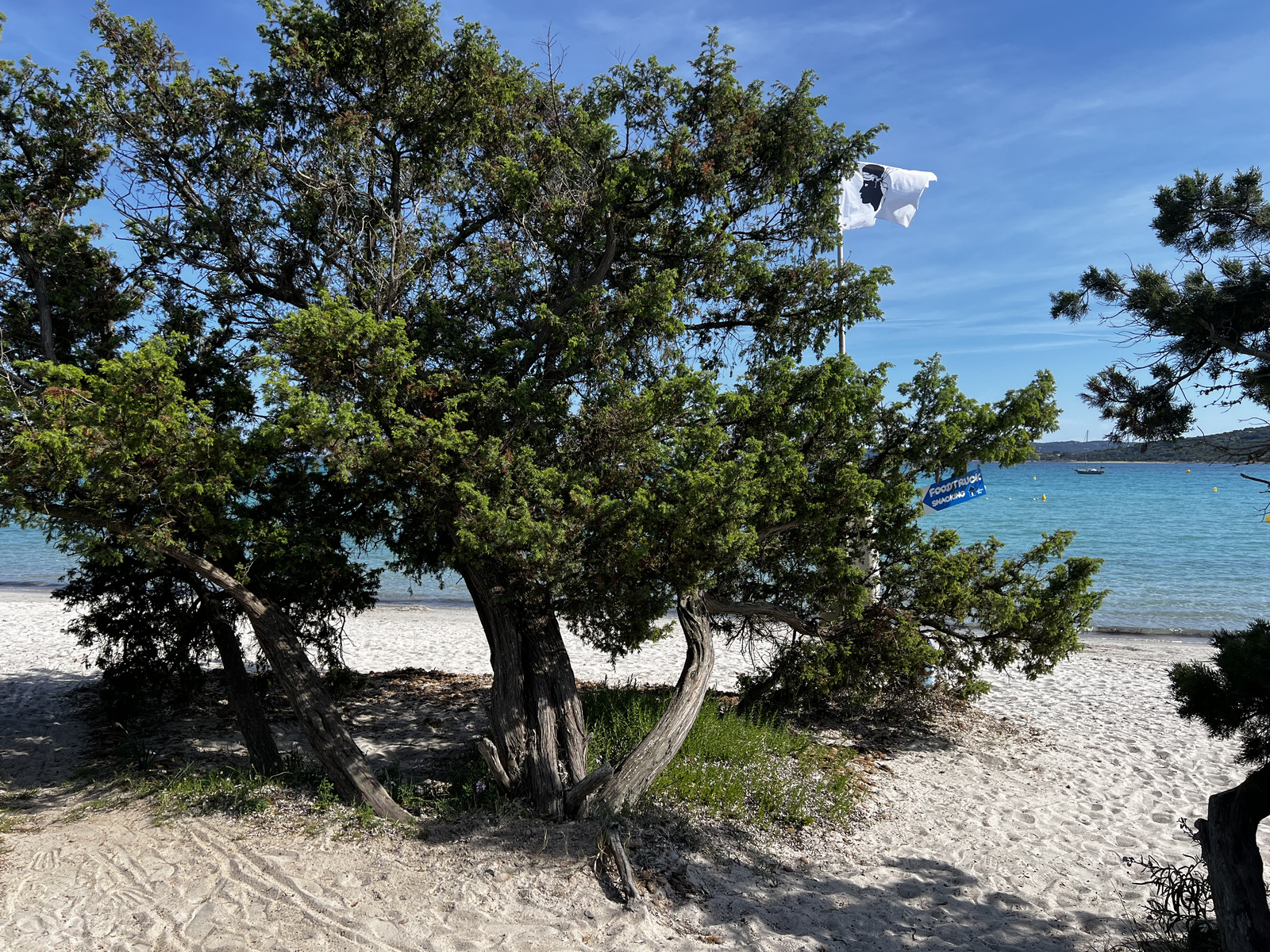 Picture France Corsica San Cyprien Bay 2024-05 3 - Pictures San Cyprien Bay