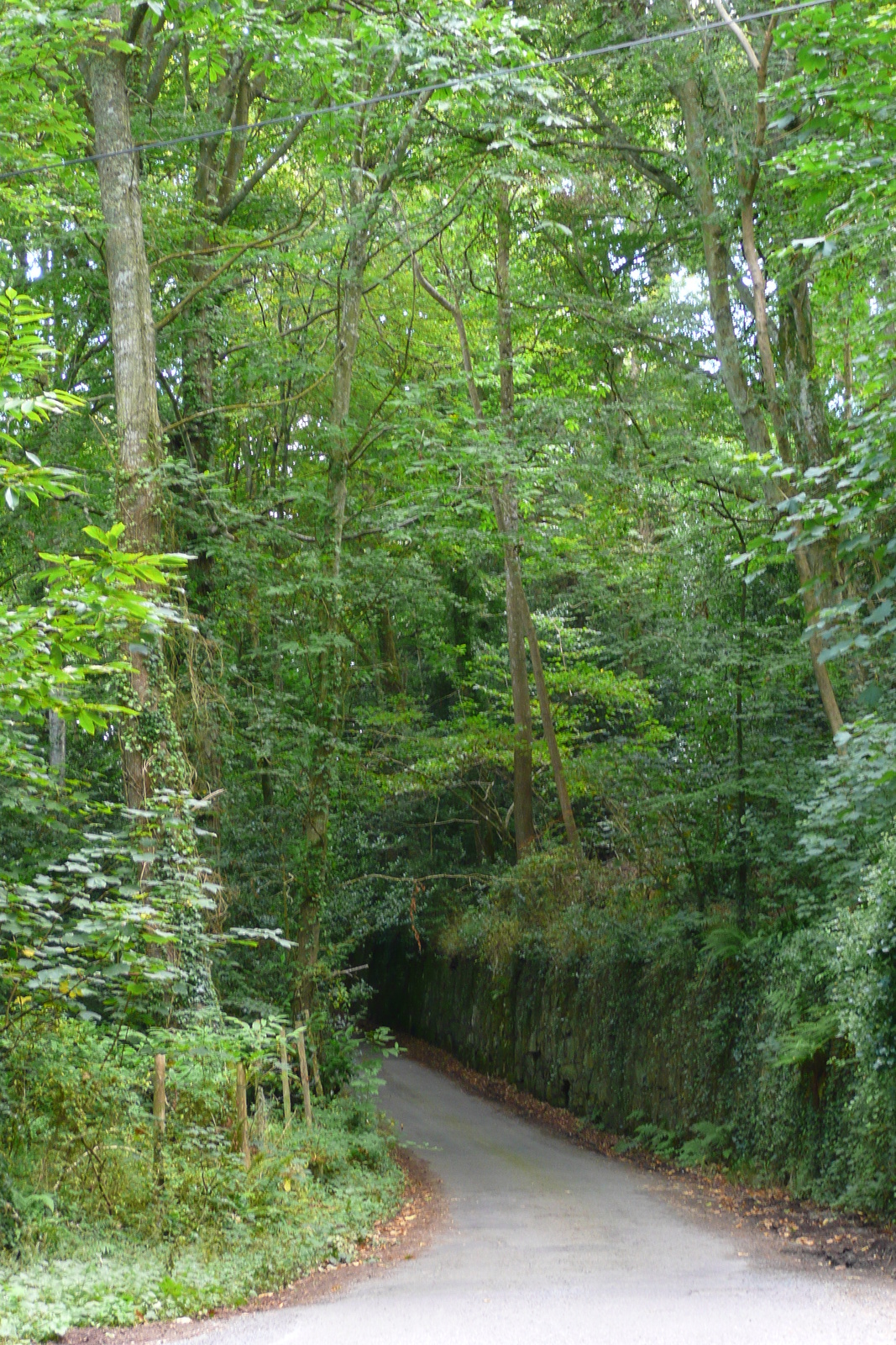 Picture France Brittany roads 2007-08 6 - Views Brittany roads