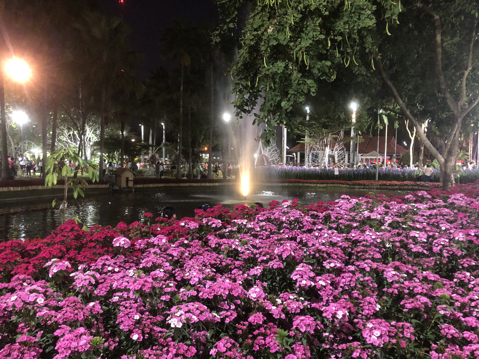 Picture Thailand Chiang Mai Nong Buak Haad Public Park 2024-01 63 - View Nong Buak Haad Public Park