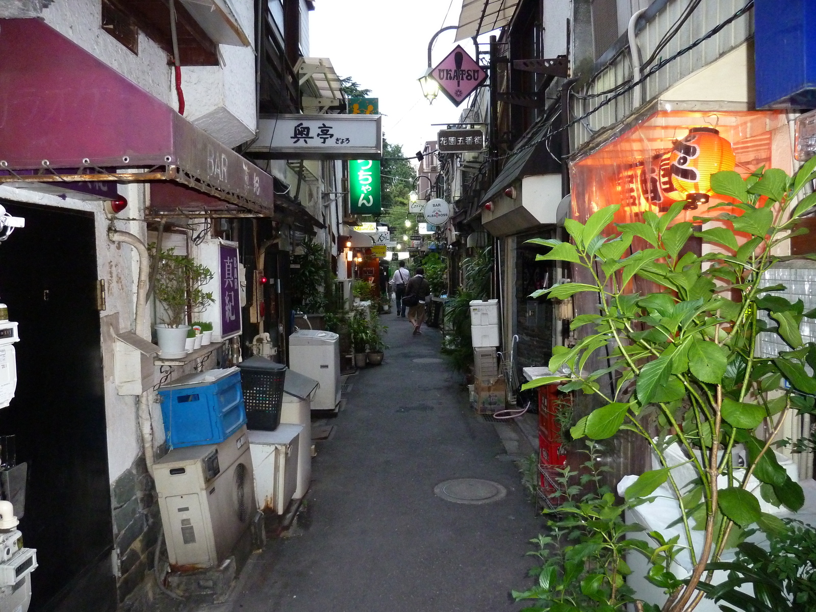 Picture Japan Tokyo 2010-06 27 - Photographer Tokyo