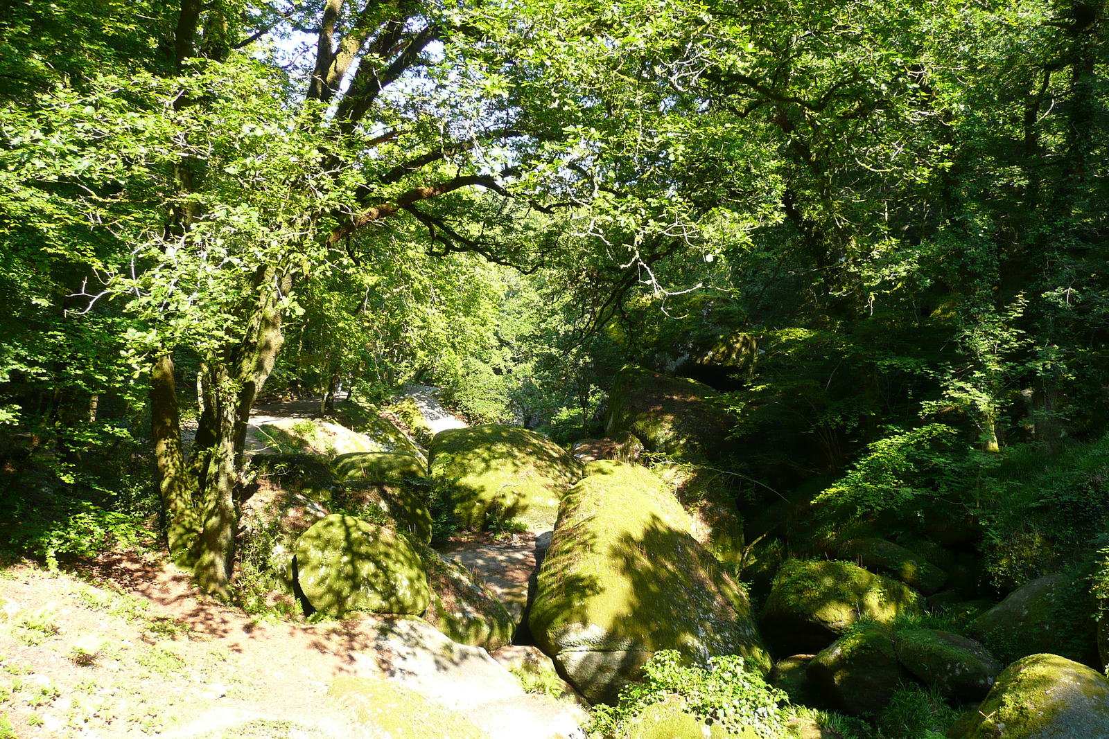 Picture France Huelgoat 2007-08 80 - Discover Huelgoat