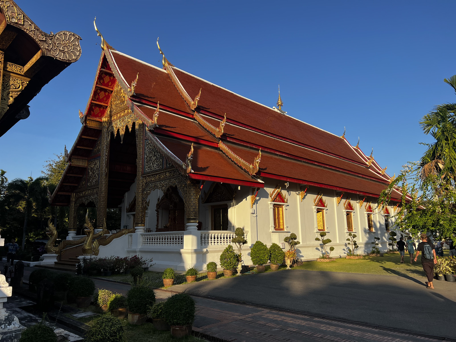 Picture Thailand Chiang Mai 2024-01 151 - Pictures Chiang Mai