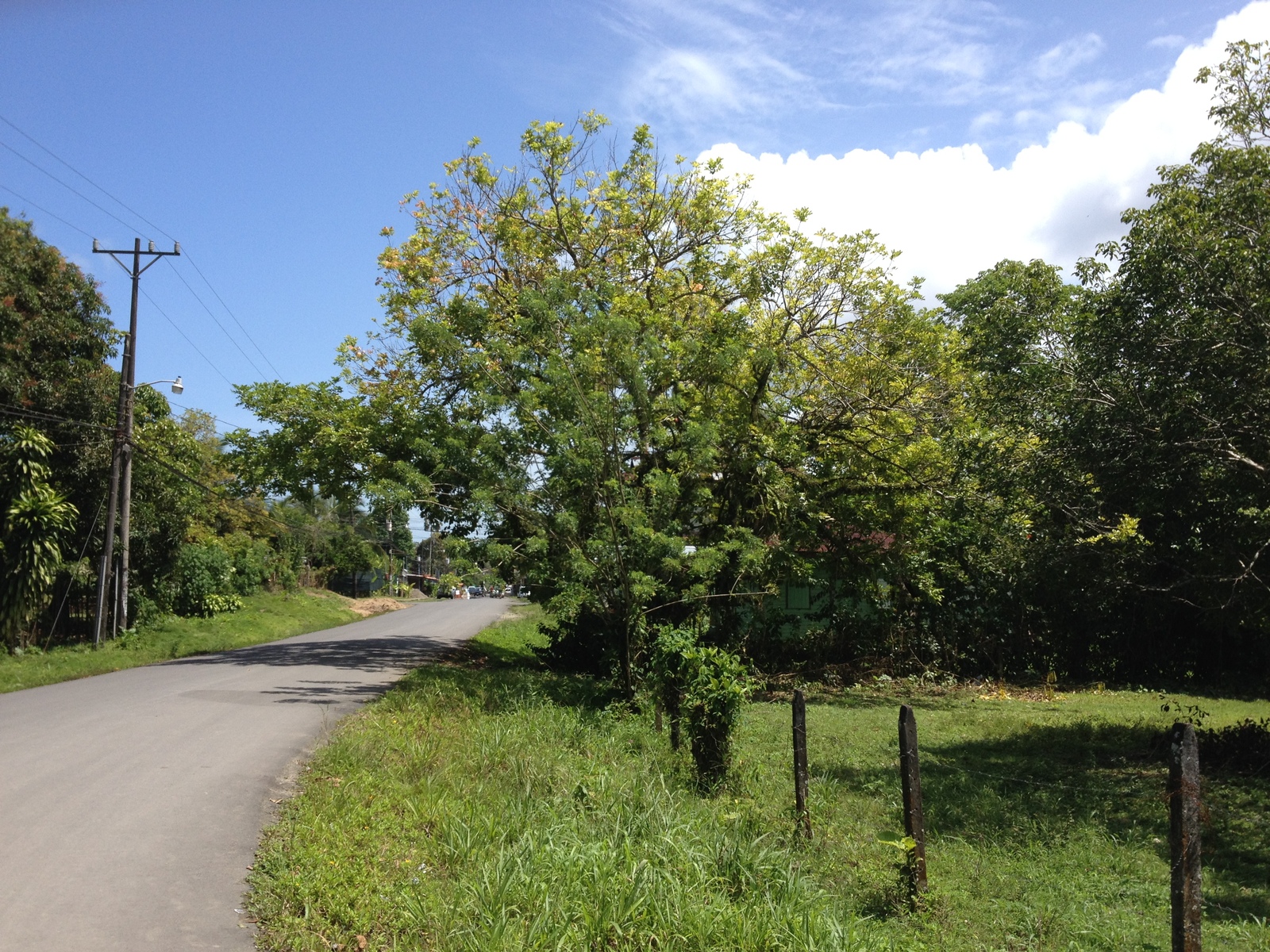 Picture Costa Rica Cahuita 2015-03 225 - Photographer Cahuita