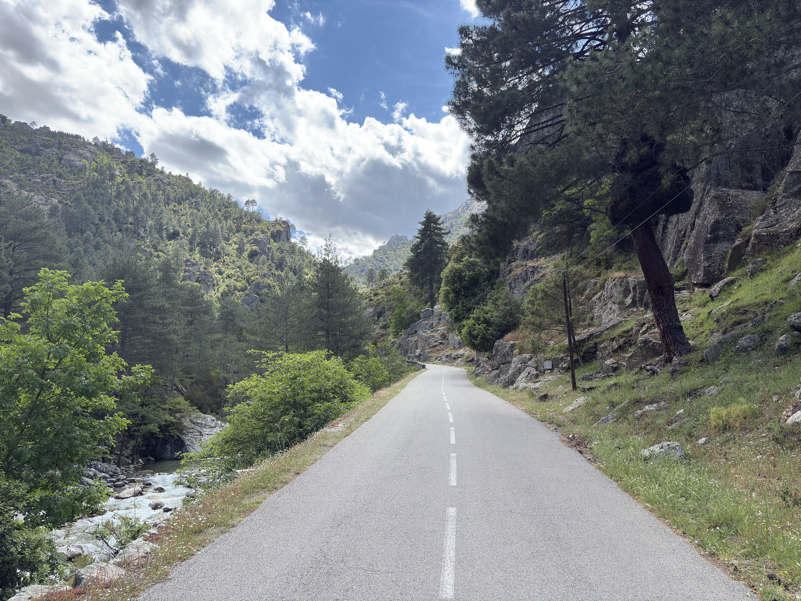 Picture France Corsica La Restonica 2025-06 6 - Tourist Attraction La Restonica