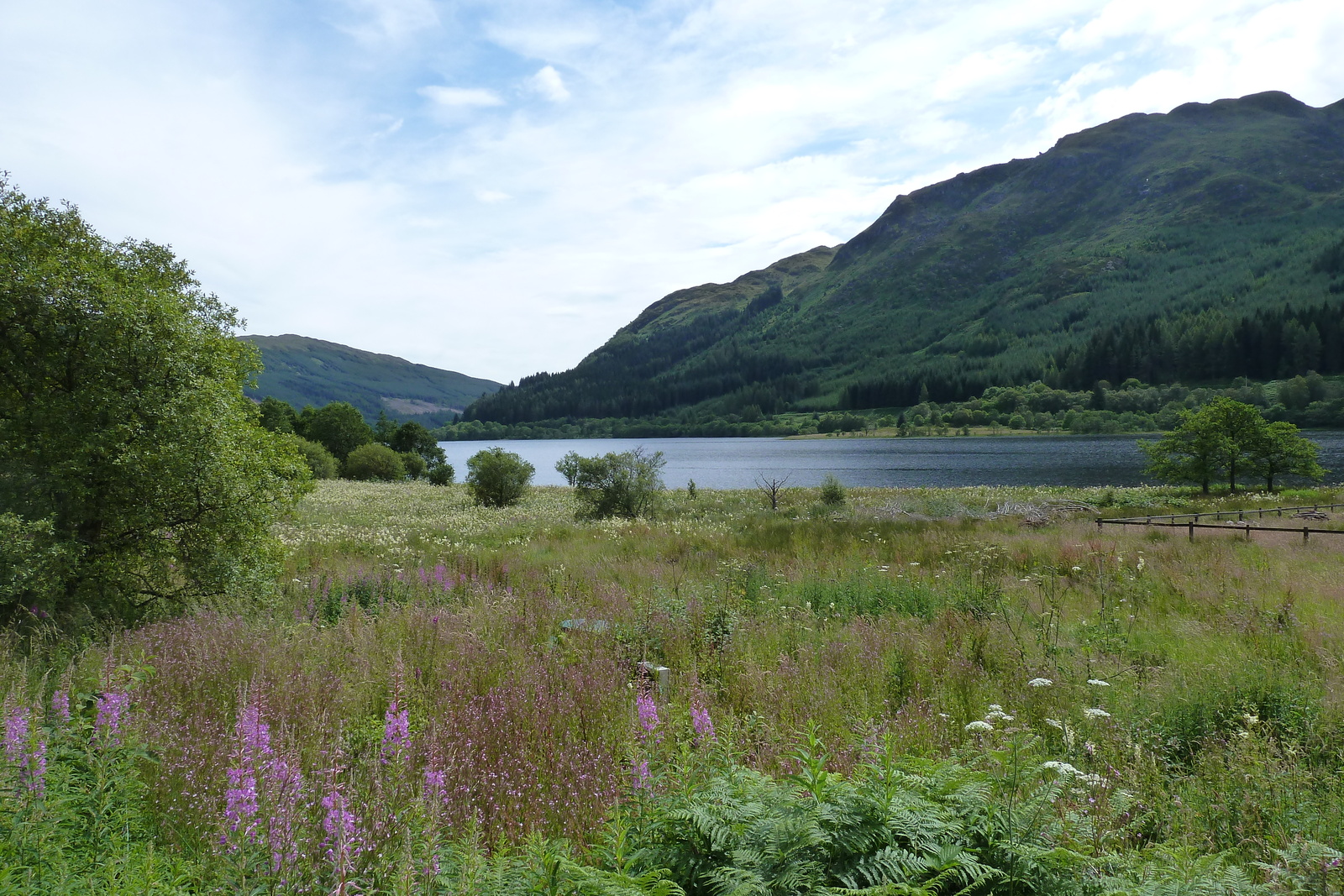 Picture United Kingdom The Trossachs 2011-07 101 - Store The Trossachs