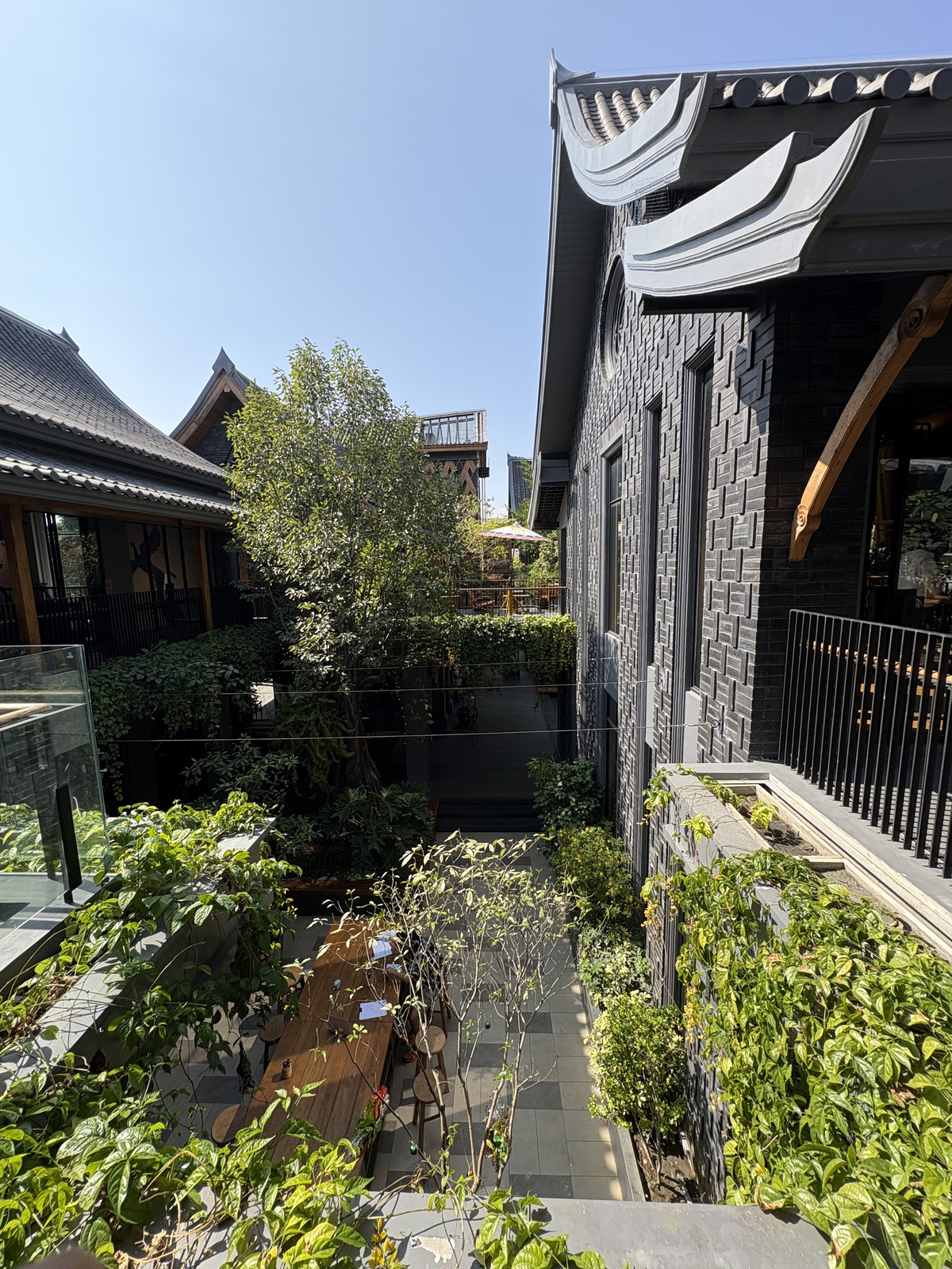 Picture Thailand Chiang Mai Kalm 2024-12 19 - Perspective Kalm