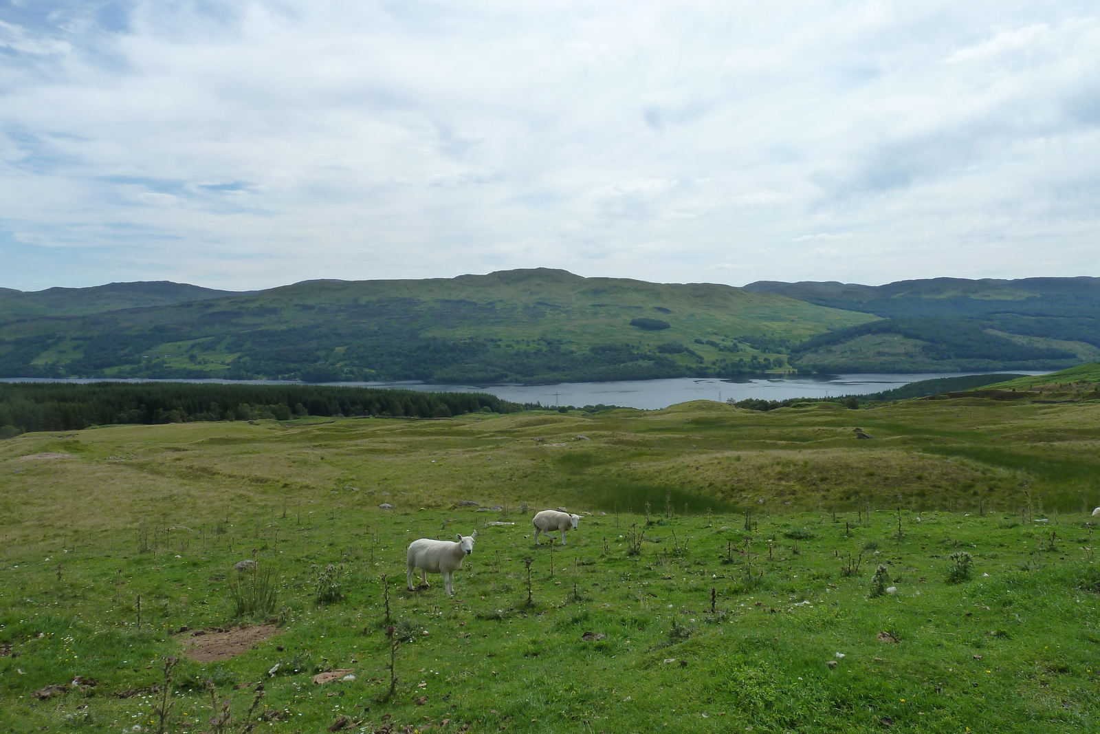 Picture United Kingdom The Trossachs 2011-07 76 - Sight The Trossachs