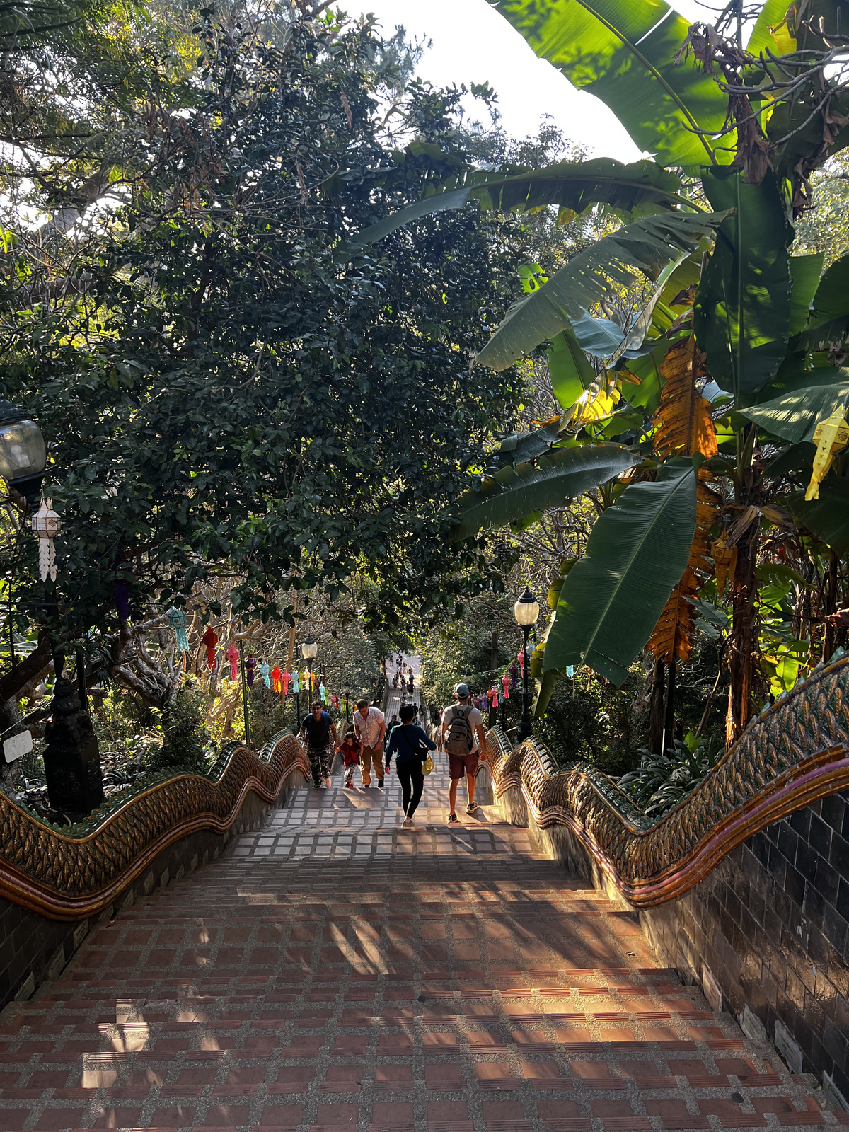 Picture Thailand Chiang Mai Doi Suthep 2024-01 15 - Photographers Doi Suthep