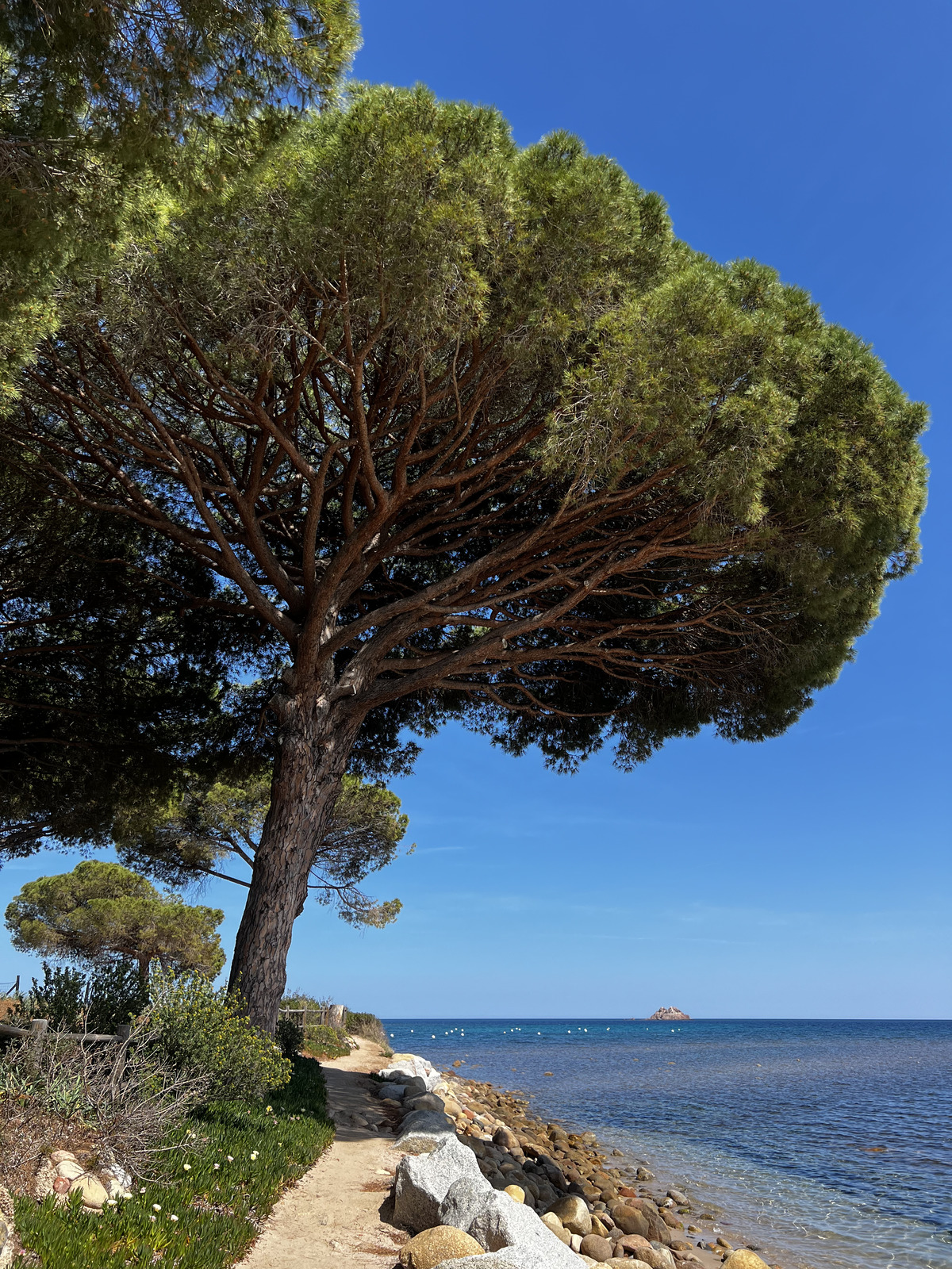 Picture France Corsica Pinarellu Beach 2024-05 25 - Views Pinarellu Beach