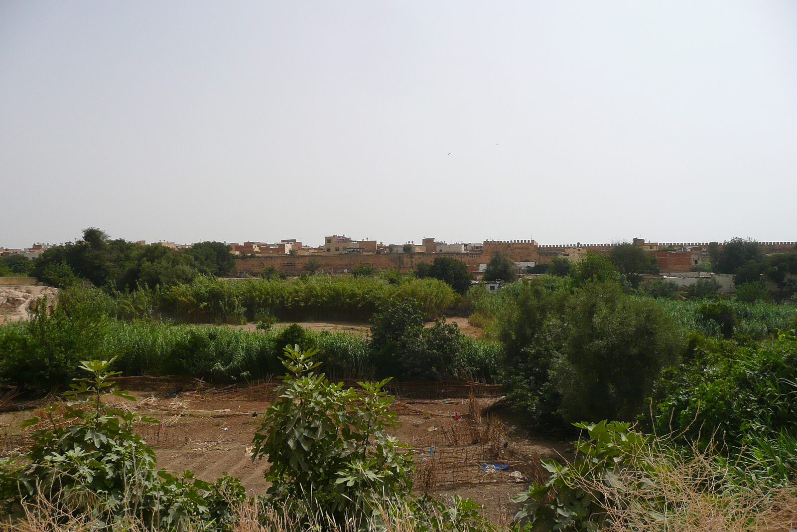 Picture Morocco Meknes 2008-07 47 - Perspective Meknes