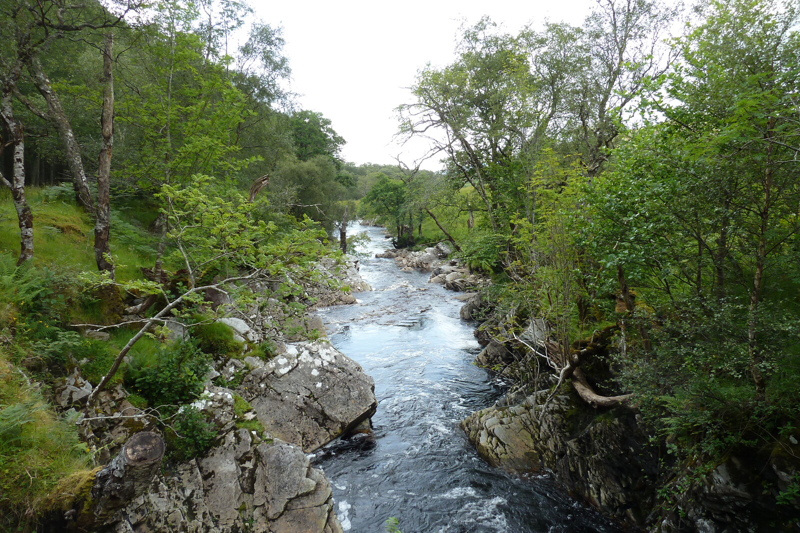 Picture United Kingdom Wester Ross 2011-07 129 - Sight Wester Ross