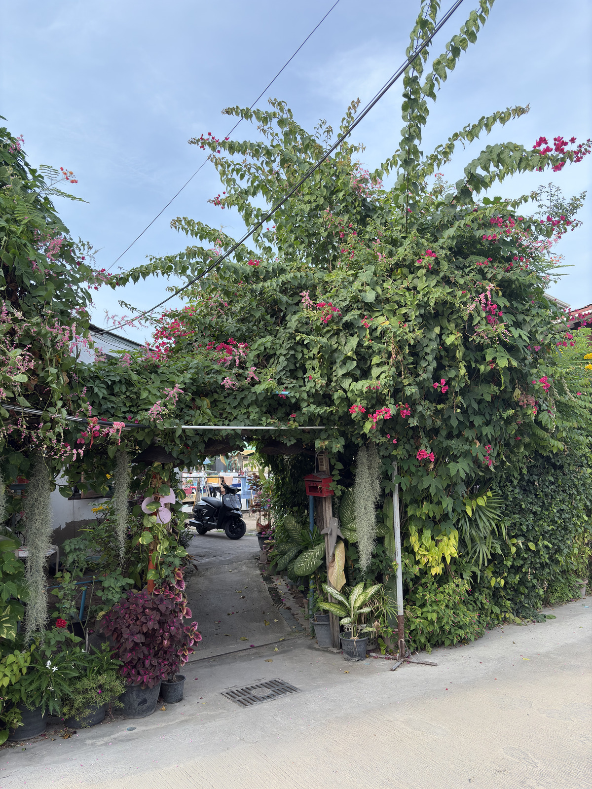 Picture Thailand Chiang Mai 2024-12 117 - Tourist Places Chiang Mai